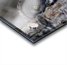 Calgary20220511 0437 Edit Acrylic print