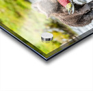 MIrror20240821 0745 Edit Acrylic print