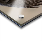 Calgary20220512 0616 Edit Acrylic print