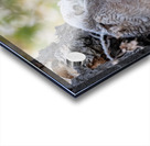 Three GHO 36x48 Acrylic print