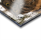 GHO 3648 Canv Acrylic print