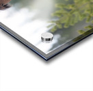 Stallion 3060 Acry Acrylic print