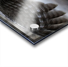 GGO 3060 Acry Acrylic print