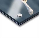 Snowy Owl 2020 Canv Acrylic print