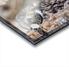 GGO3648Canv Acrylic print