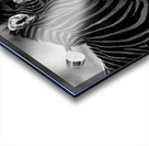 Z92 1533 Acrylic print