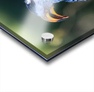 Z91 3120 Acrylic print