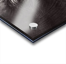 Z91 3172 Acrylic print