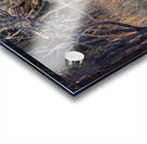 NBC081123067 Acrylic print