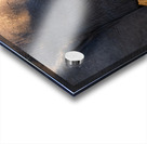 NBC081123054 Acrylic print