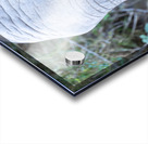 NBC081123040 Enhanced NR Acrylic print