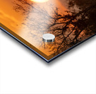 NBC081123086 Acrylic print