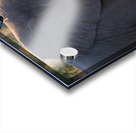 NBC081123057 Acrylic print