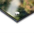 NBC081123002 Enhanced NR Acrylic print