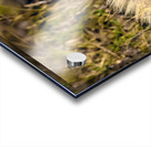 Z92 1608 NEF DxO DeepPRIMEXD Acrylic print