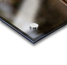 Z92 4513 Edit Acrylic print