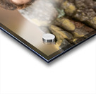 Z92 4564 Edit Acrylic print