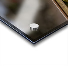 Z92 4516 Edit Acrylic print