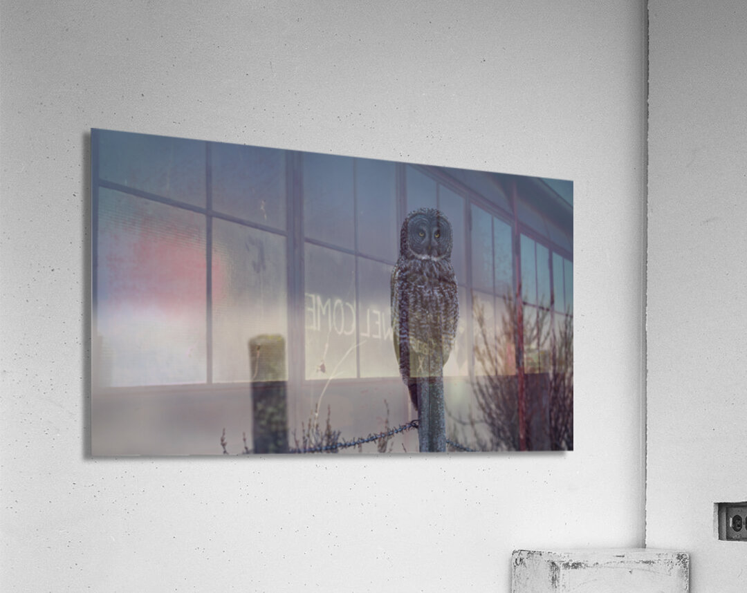 Calgary20220510 0135 Enhanced NR Edit Acrylic Print