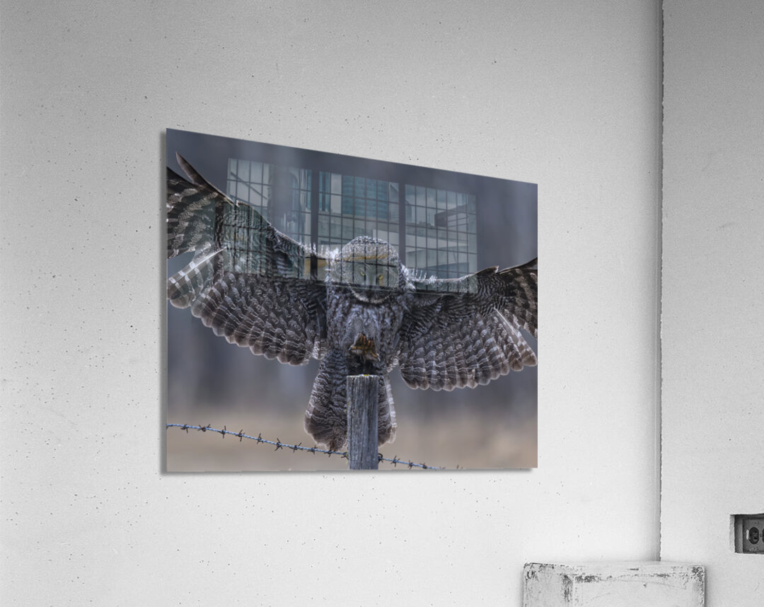 Calgary20220510 0150 Enhanced NR Edit Acrylic Print