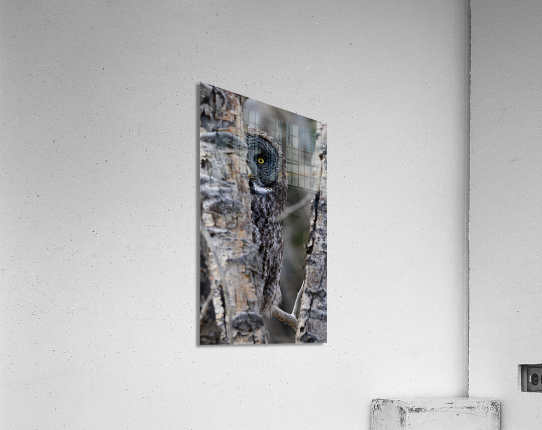 Calgary20220511 0437 Edit Acrylic Print