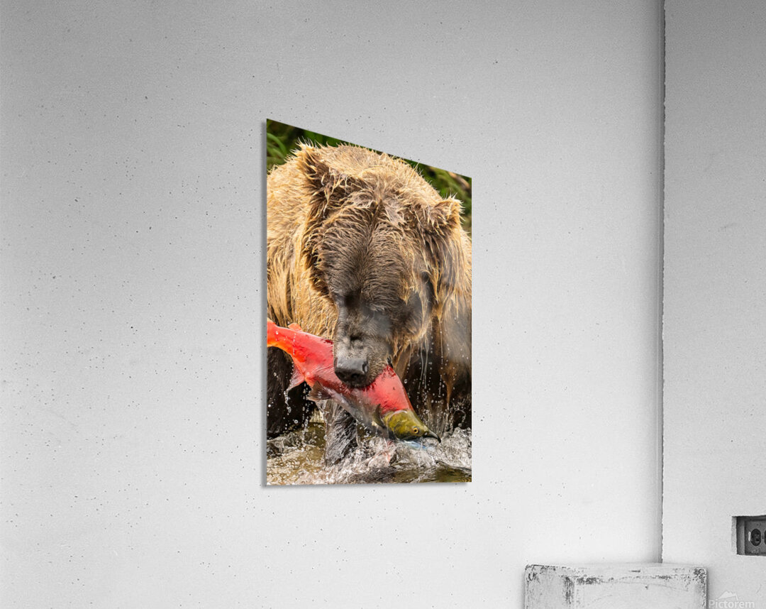 Z91 4633 Edit Acrylic Print