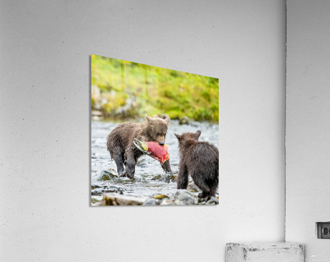 MIrror20240821 0745 Edit Acrylic Print