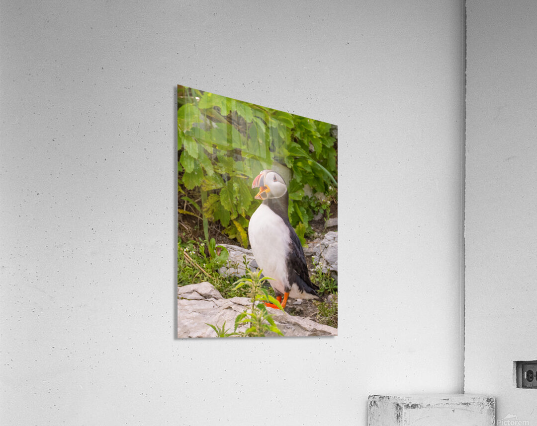 Z91 1832 Edit Acrylic Print