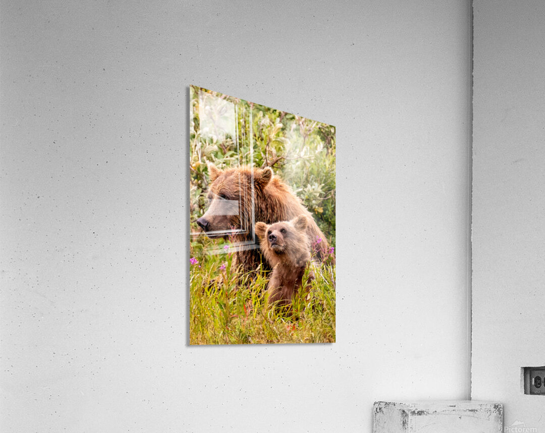 Morraine20240822 0310 Edit Acrylic Print