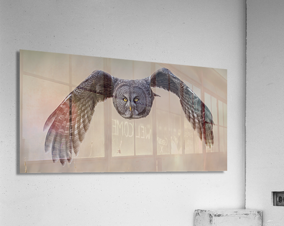 Calgary20220512 0616 Edit Acrylic Print