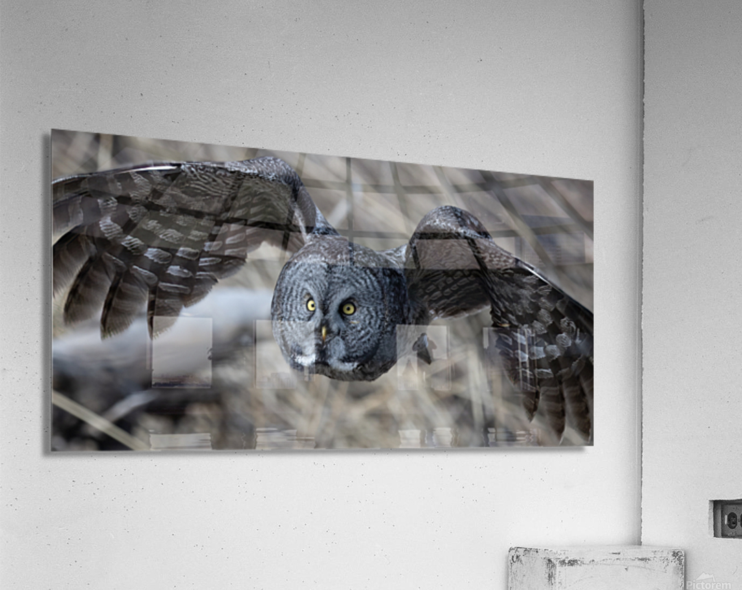 GGO 3060 Acry Acrylic Print