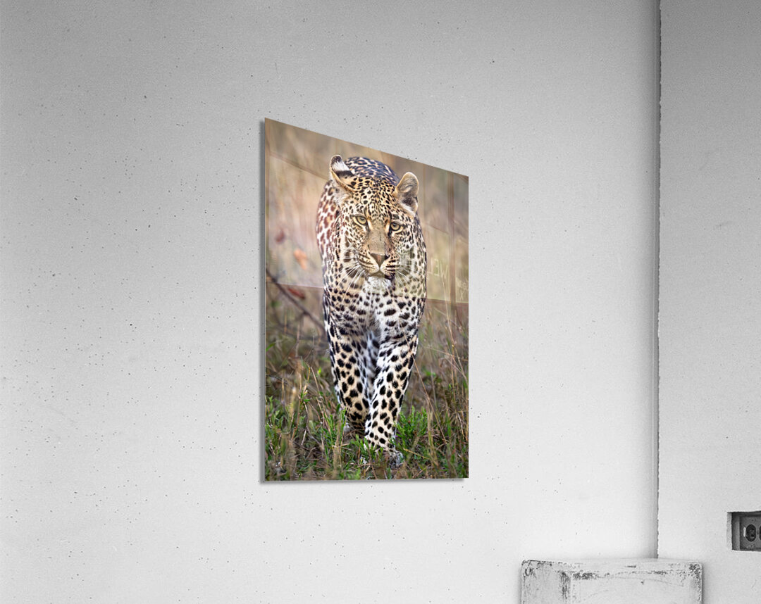 NBC081323434 Enhanced NR Edit Edit Acrylic Print