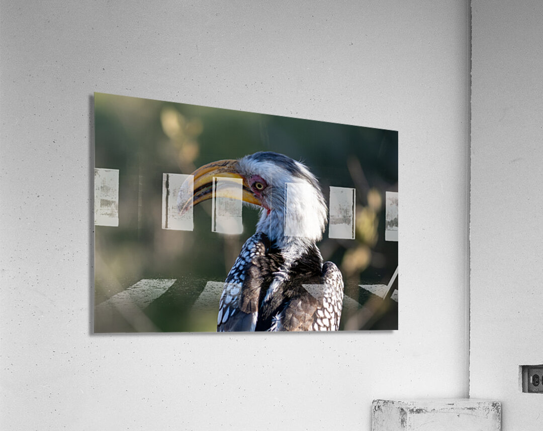 NBC081123004 Enhanced NR Acrylic Print