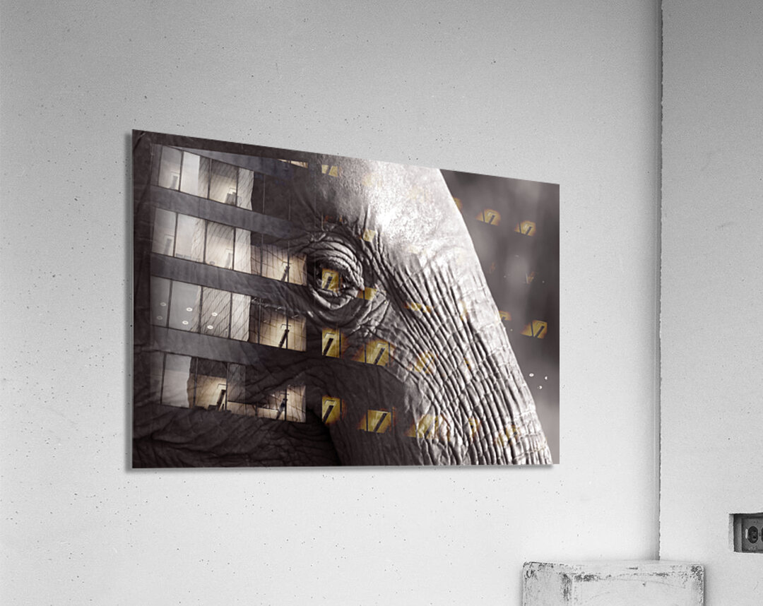 Z91 3172 Acrylic Print