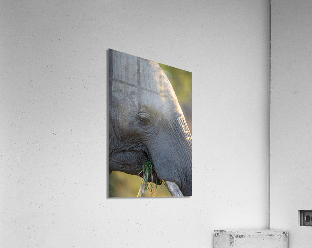 NBC081123075 Acrylic Print