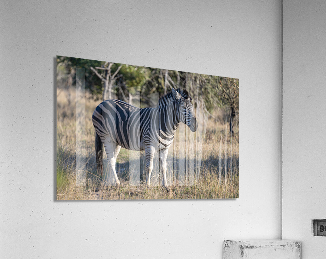 NBC081123010 Enhanced NR Acrylic Print