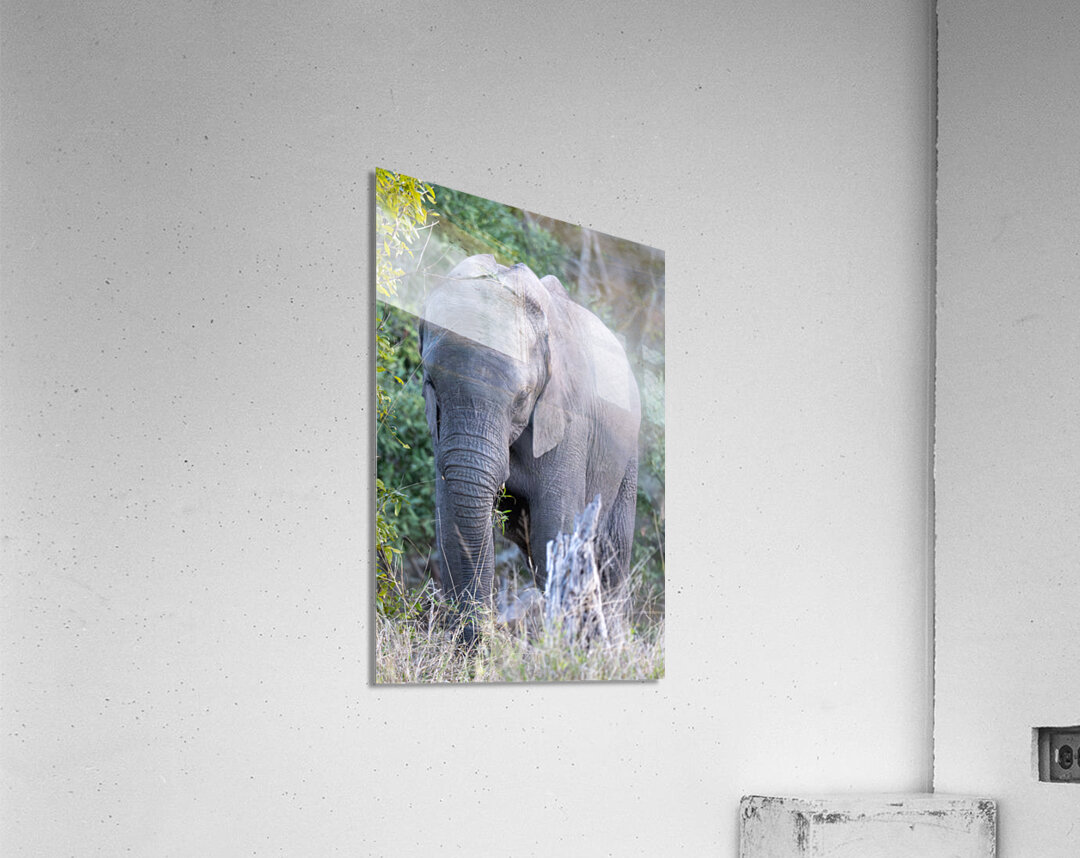 NBC081123066 Enhanced NR Acrylic Print