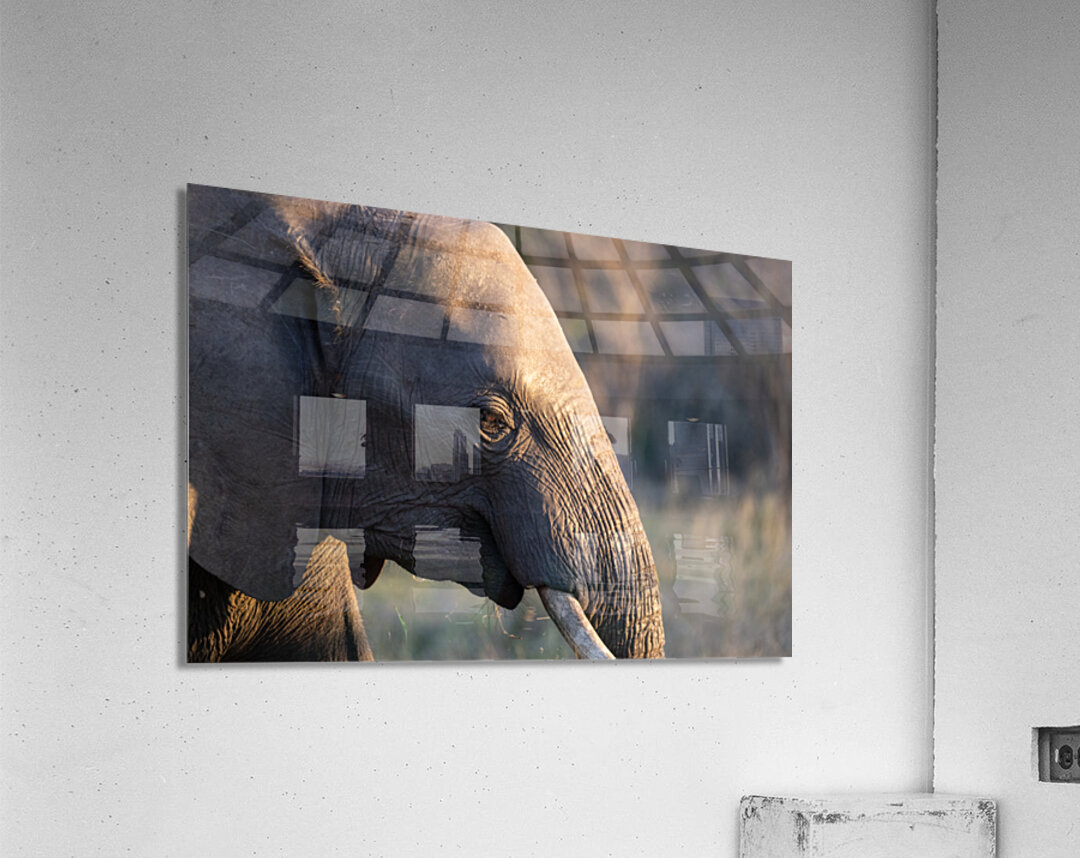 NBC081123054 Acrylic Print