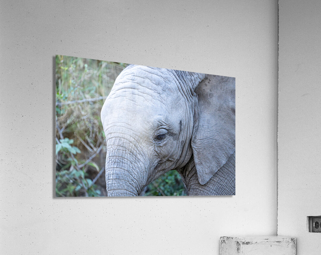 NBC081123040 Enhanced NR Acrylic Print