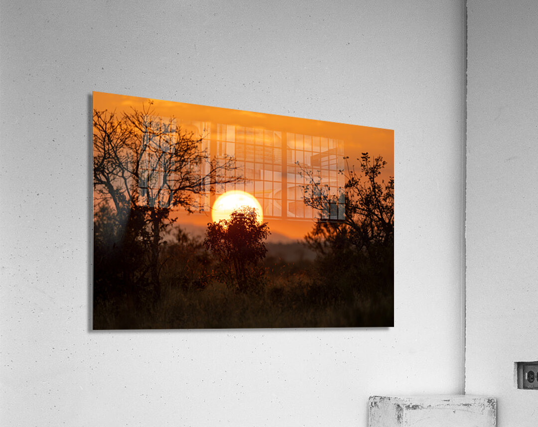 NBC081123086 Acrylic Print