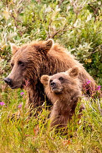 Morraine20240822 0310 Edit