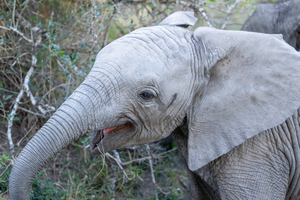 NBC081123043 Enhanced NR