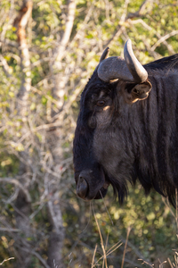 NBC081123046 Enhanced NR Edit