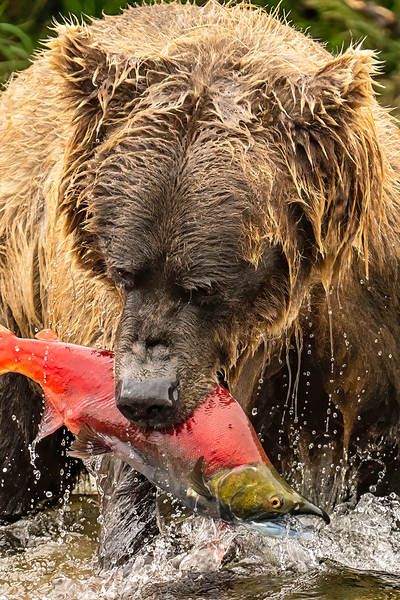 Z91 4633 Edit by Photos by SMA