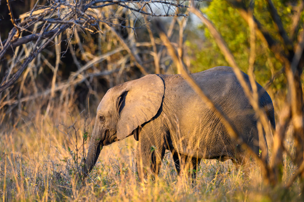 Z92 1579 by Photos by SMA