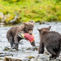 MIrror20240821 0745 Edit