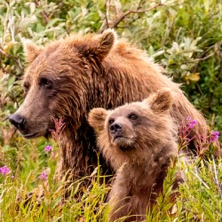 Morraine20240822 0310 Edit