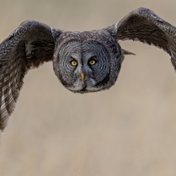 Calgary20220512 0616 Edit