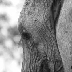 NBC081123037 Enhanced NR