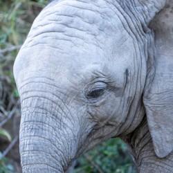 NBC081123040 Enhanced NR